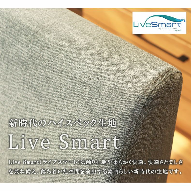ダイニングベンチ | 右カウチ ソファ 撥水 ペット 引っかきに強い LD ダイニング ベンチ エイダ