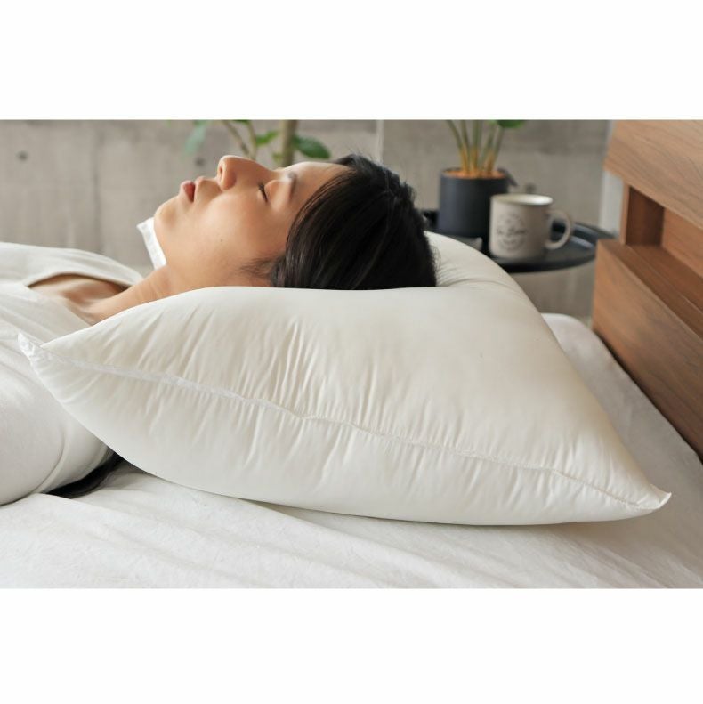 43×63 ネクストダウン2ピロー 枕 洗える ふかふか