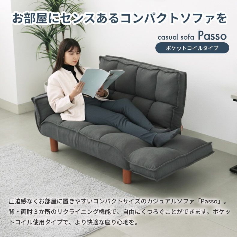 2人掛け カジュアルソファ パッソプラス