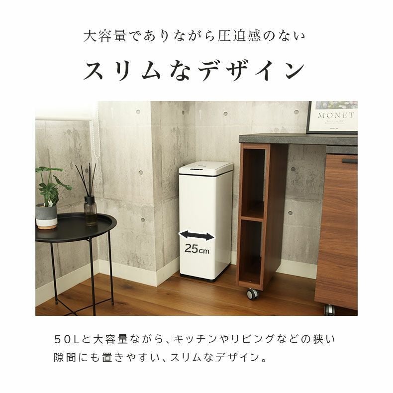 ゴミ箱・ダストボックス | 50Ｌ センサー付きダストボックス ビーユー