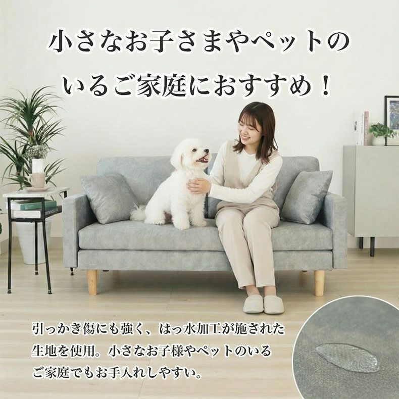 2.5人掛け ソファ フェルン