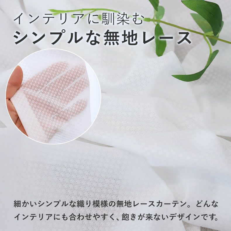 レースカーテン（薄地） | 2枚入り  遮像 レースカーテン Wリード