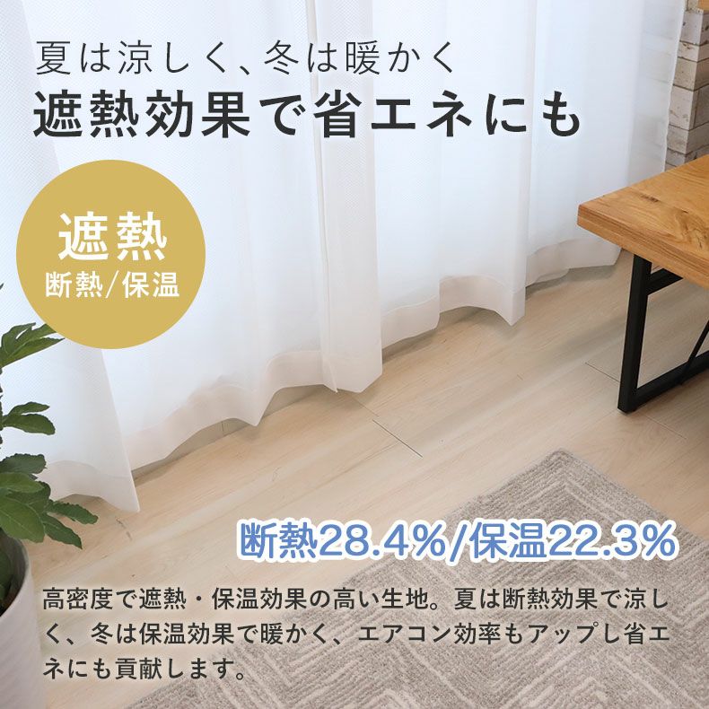2枚入り 遮像 レースカーテン Wリード