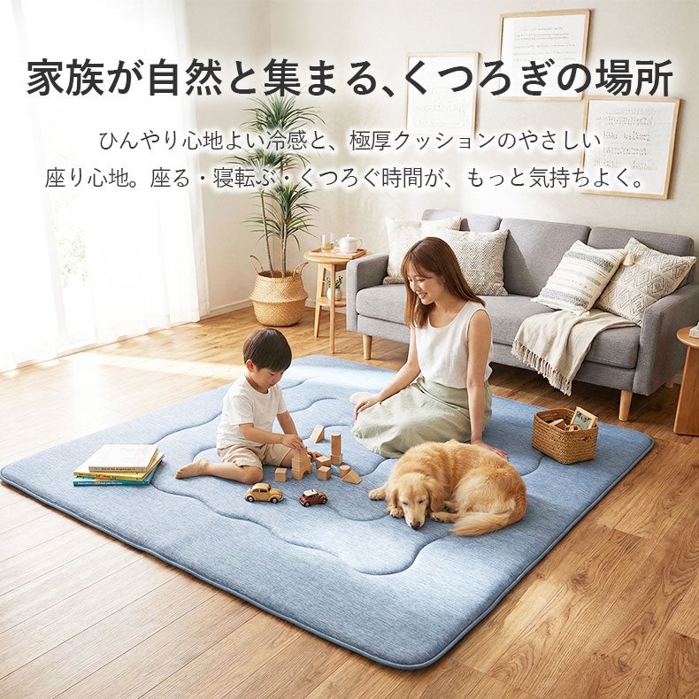 持続冷感ラグ マナクールアイススーパー