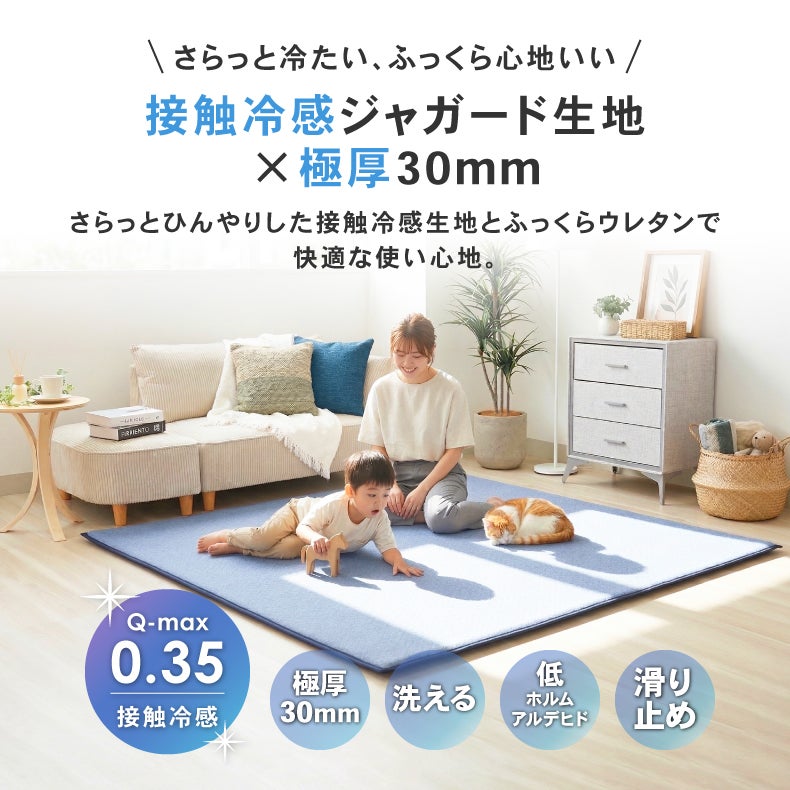 無地ラグ | 極厚冷感ラグ マナクールモダン