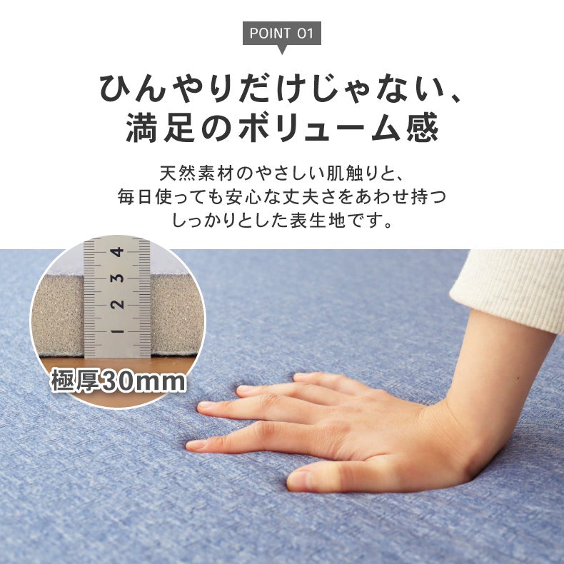 無地ラグ | 極厚冷感ラグ マナクールモダン