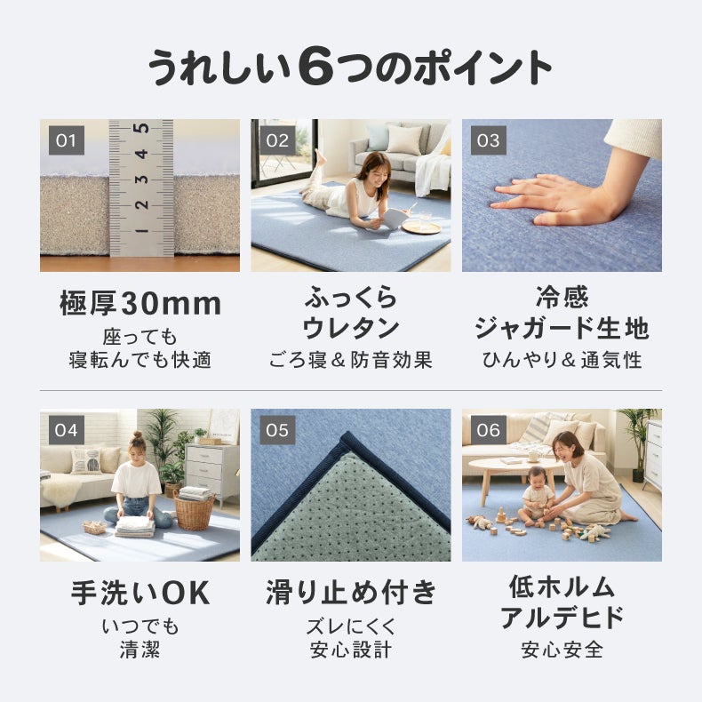 無地ラグ | 極厚冷感ラグ マナクールモダン