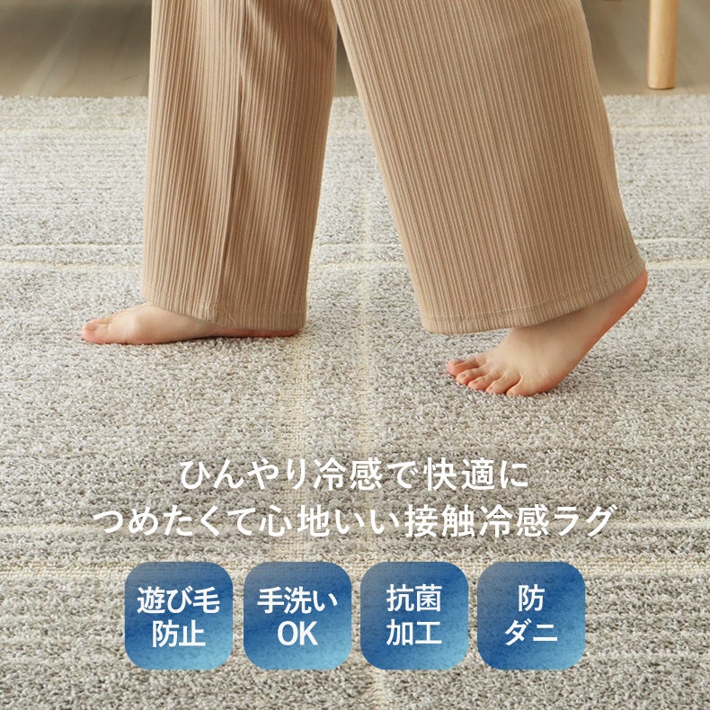 柄物・デザインラグ | 柄物・デザインラグ｜接触冷感ラグ アイス　防ダニ 床暖房対応