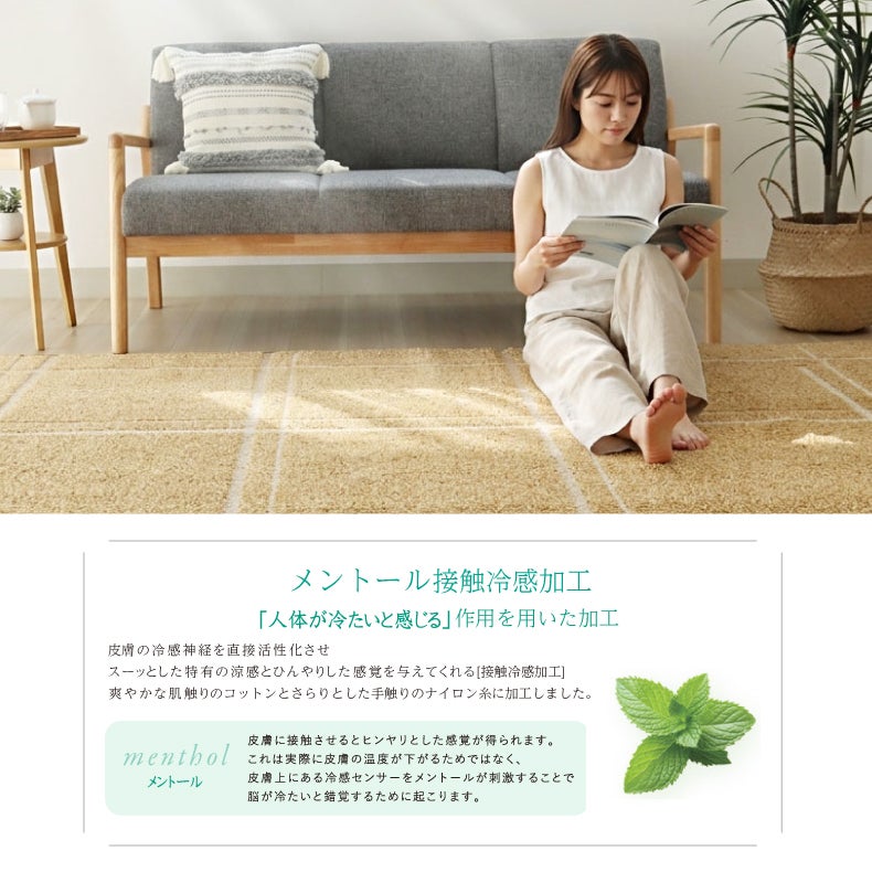 柄物・デザインラグ | 柄物・デザインラグ｜接触冷感ラグ アイス　防ダニ 床暖房対応
