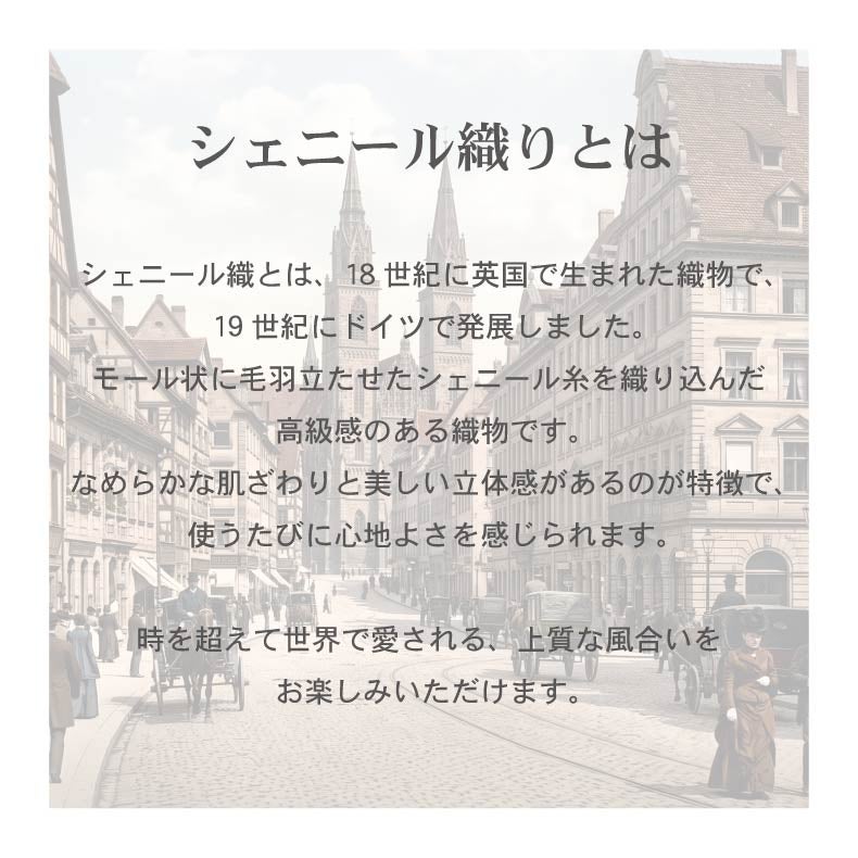 柄物・デザインラグ | シェニールラグ オーラ