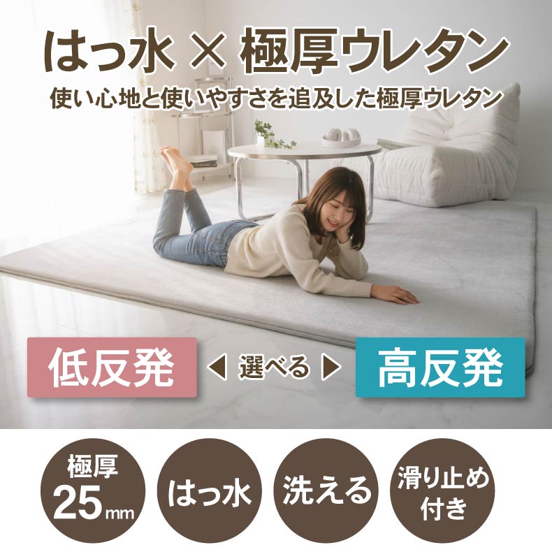 無地ラグ | ラグ はっ水ロジャー