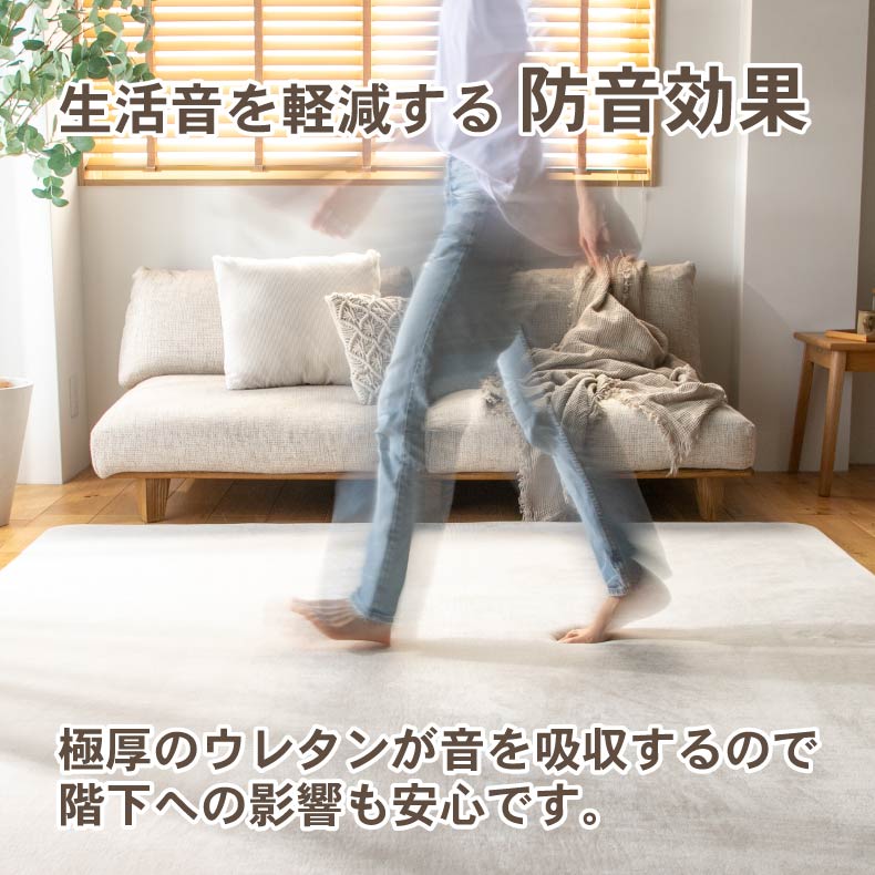 無地ラグ | ラグ はっ水ロジャー