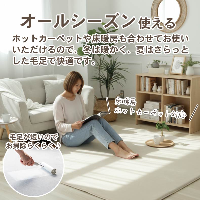 無地ラグ | ラグ はっ水ロジャー