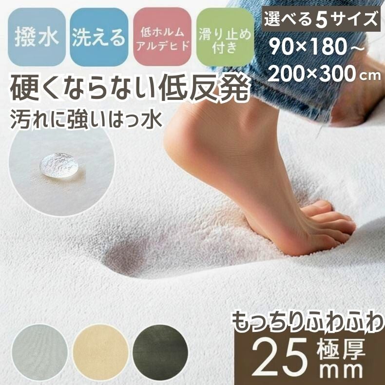 無地ラグ | ラグ はっ水ロジャー