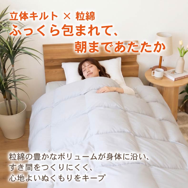 掛け布団・羽毛布団 | 掛け布団 エアログラフェン
