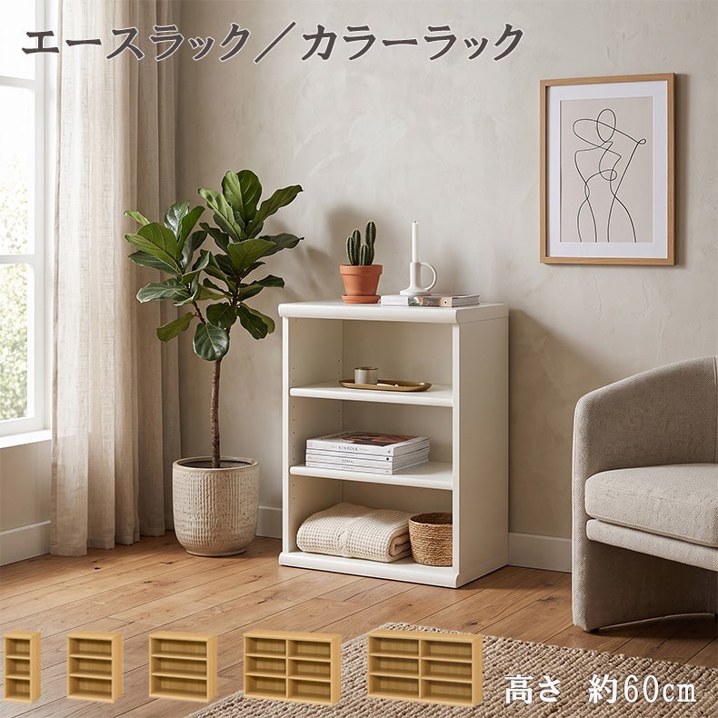 本棚・書棚 | オープンラック 高さ約60cm カラーラック