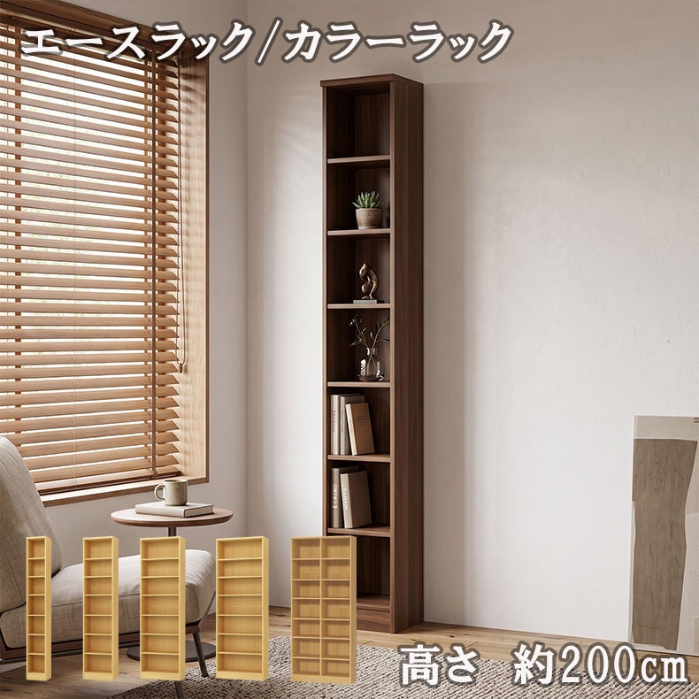 本棚・書棚 | オープンラック 高さ約200cm カラーラック