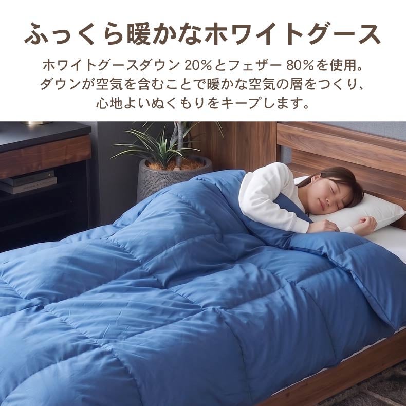 掛け布団・羽毛布団 | シングルロング 立体羽根掛け布団 ネイティブブレンドダウンWDG20