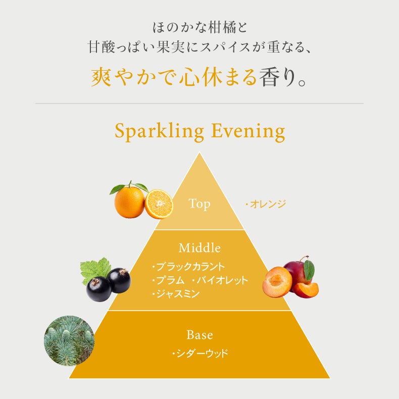 アロマディフューザー | リードディフューザー2本セット ブランチ