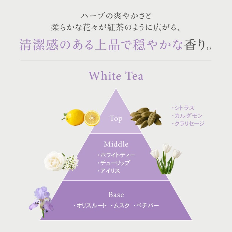 アロマディフューザー | リードディフューザー2本セット ブランチ