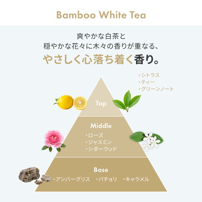 アロマディフューザー | リードディフューザー デコール 12個セット