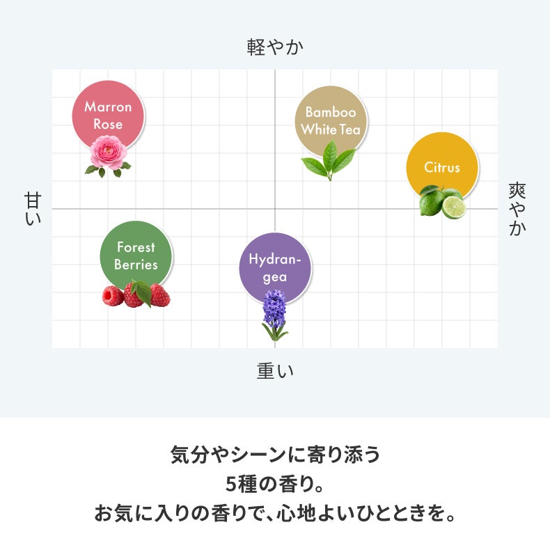 アロマディフューザー | リードディフューザー デコール 12個セット